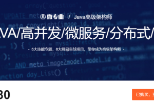 微专业-Java高级架构师【2021福利期】【价值13680元】