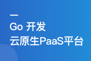 Go 开发者的涨薪通道：自主开发 PaaS 平台核心功能_无密分享