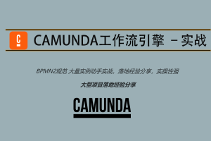 Camunda高级实战培训系列教程